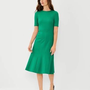 NEW with Tags 🏷️ Ann Taylor Short Sleeve Flare Dress
